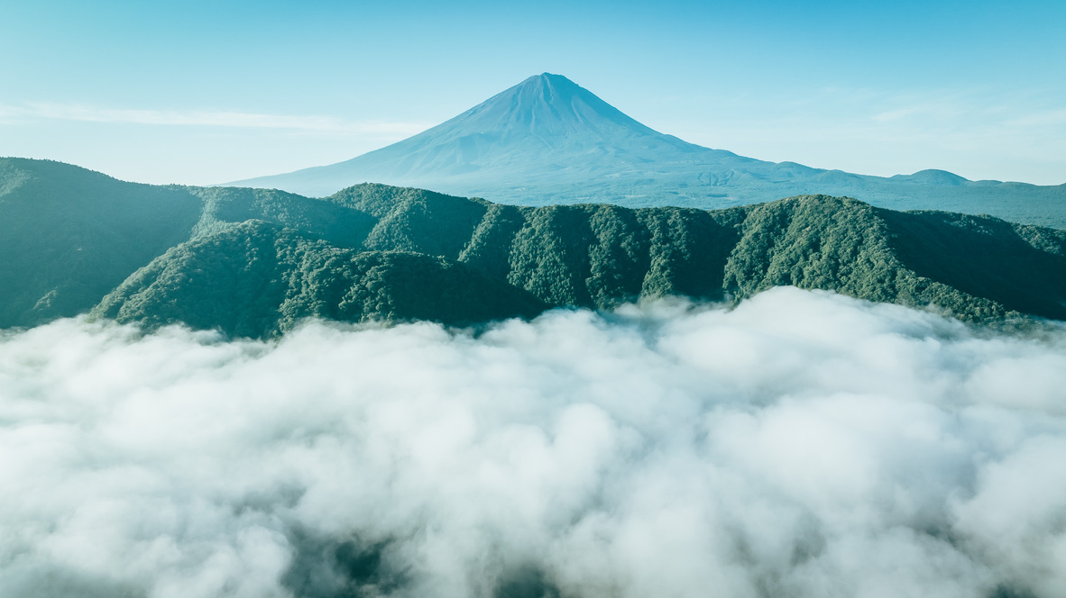 6A84A1D0-1533-4C08-A9AB-E34A134E55CE_1_105_c.jpeg
